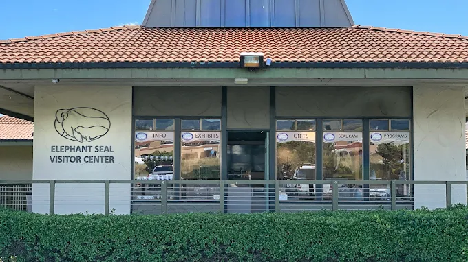 Piedras Blancas Rookery / San Simeon