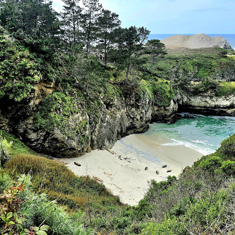 Point Lobos Place mentioned in saved reels
