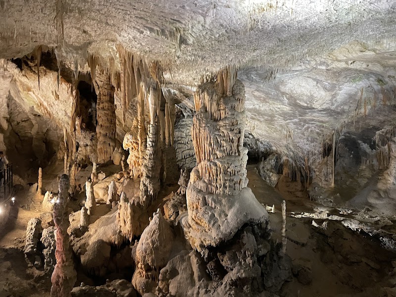 Postojna Cave / Slovenia Place mentioned in saved reels