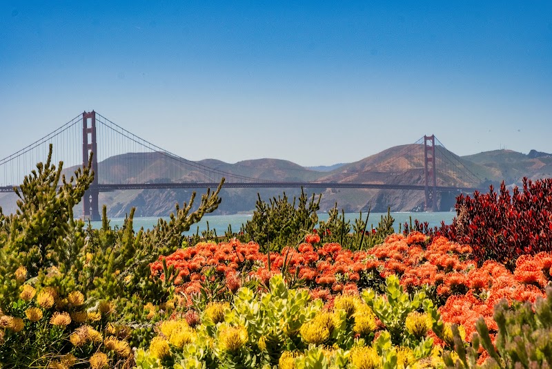 Presidio Tunnel Tops / San Francisco