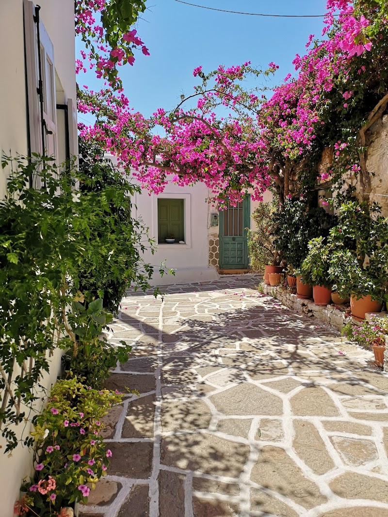 Prodromos / Paros Place mentioned in saved reels