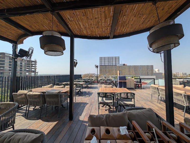 Purple Basil / Lucknow