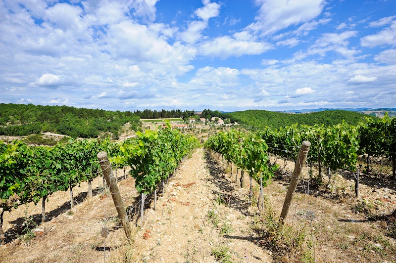 Querceto di Castellina / Tuscany Place mentioned in saved reels