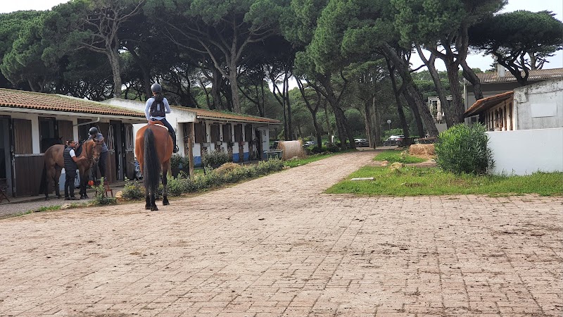 Quinta da Marinha / Cascais Place mentioned in saved reels