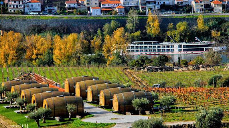 Quinta da Pacheca Wine House Hotel / Lamego