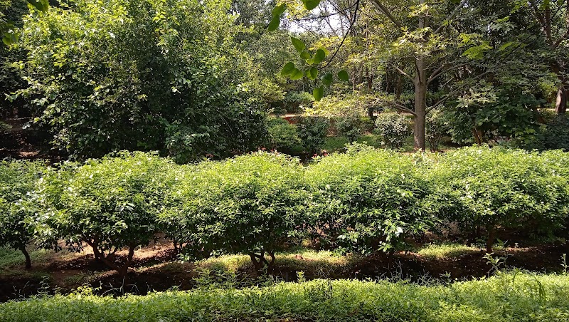 Qutab Industrial Area / Delhi