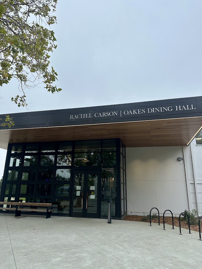 Rachel Place mentioned in saved reels