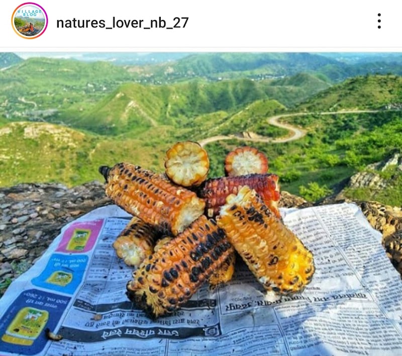 Rayta Hills / Udaipur