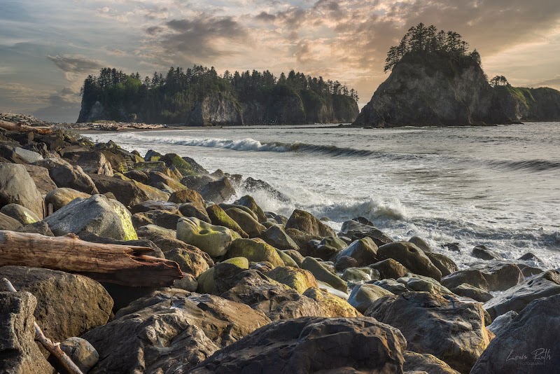 Rialto Beach / Washington