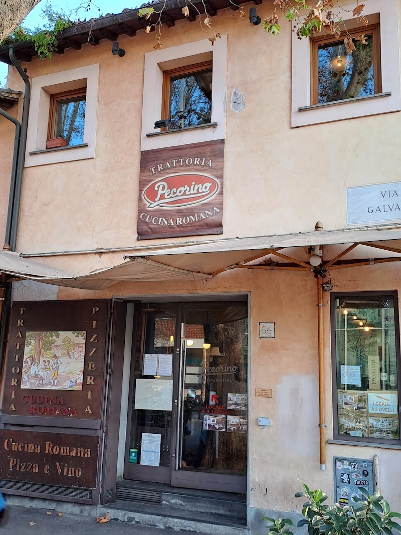 Ristorante Pecorino / Rome Place mentioned in saved reels