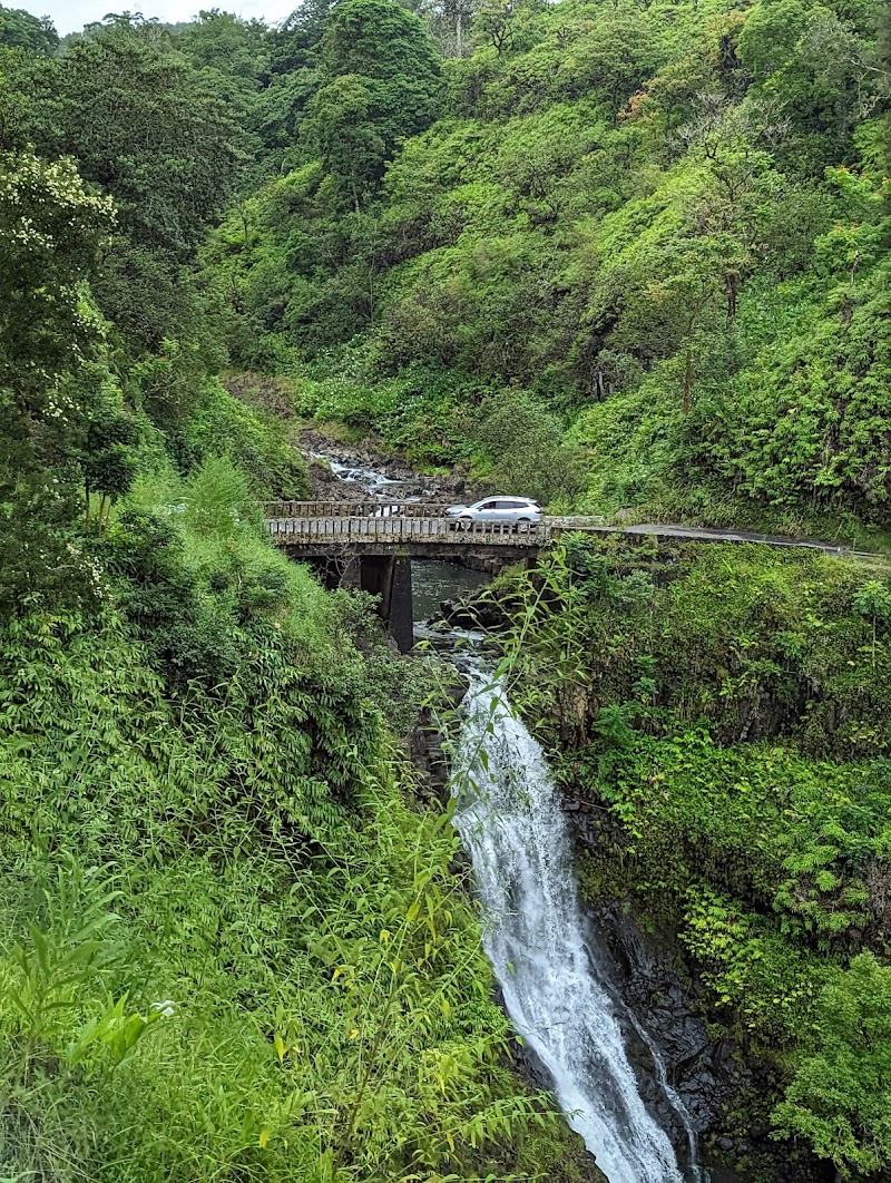 Road to Hana / Hawaii Place mentioned in saved reels