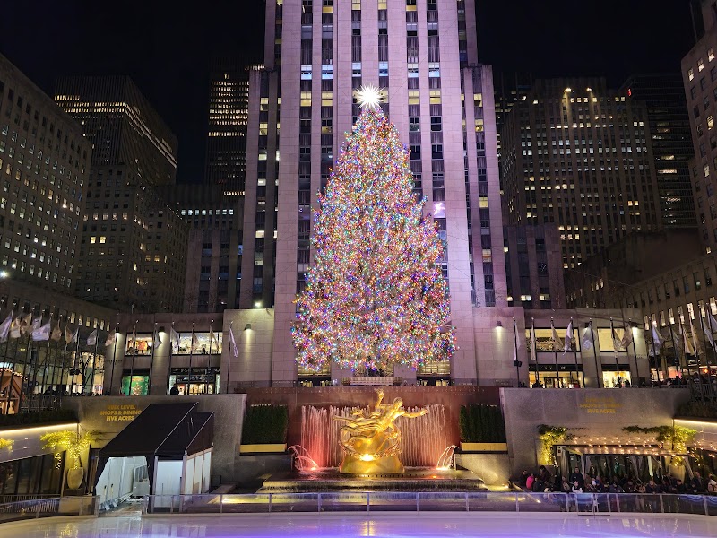 Rockefeller Christmas Tree / New York Place mentioned in saved reels