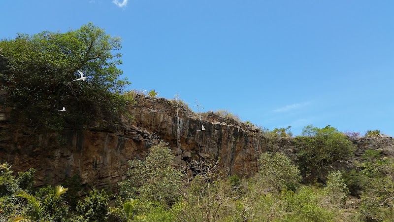 Rodrigues / Mauritius Place mentioned in saved reels