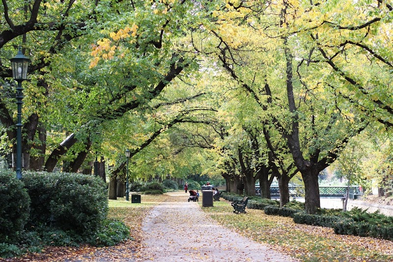Rosalind Park / Bendigo Place mentioned in saved reels