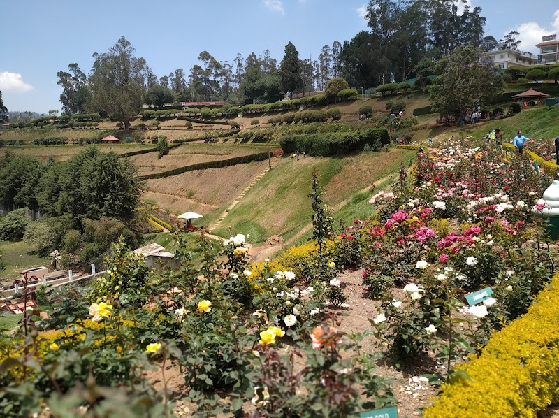 Rose garden / Ooty Place mentioned in saved reels