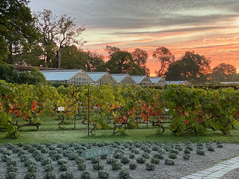 Rosendals Trädgård / Stockholm
