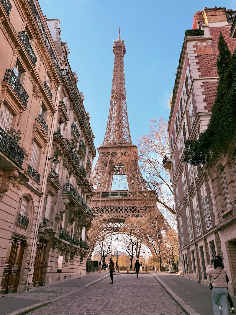 Rue de l'université / Paris