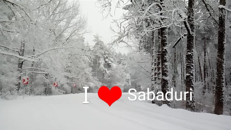 Sabaduri Forest / Georgia