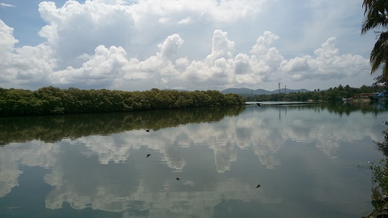 Sal River / Goa Place mentioned in saved reels