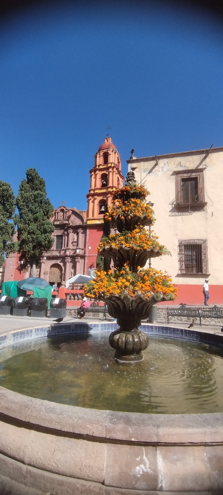 San Miguel de Allende / Mexico Place mentioned in saved reels