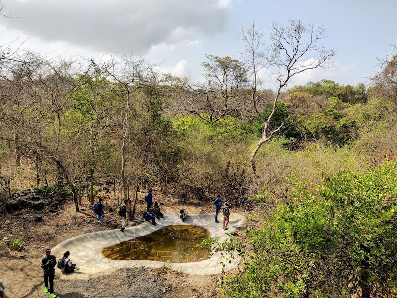 Sanjay Gandhi National Park / Mumbai Place mentioned in saved reels