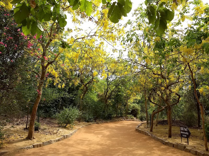 Sanjay Van / Delhi