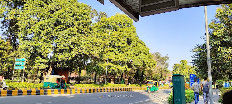 Sarojini Nagar Market / Delhi
