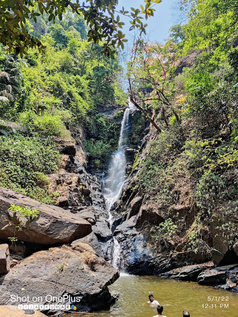Savri Waterfall / Goa Place mentioned in saved reels