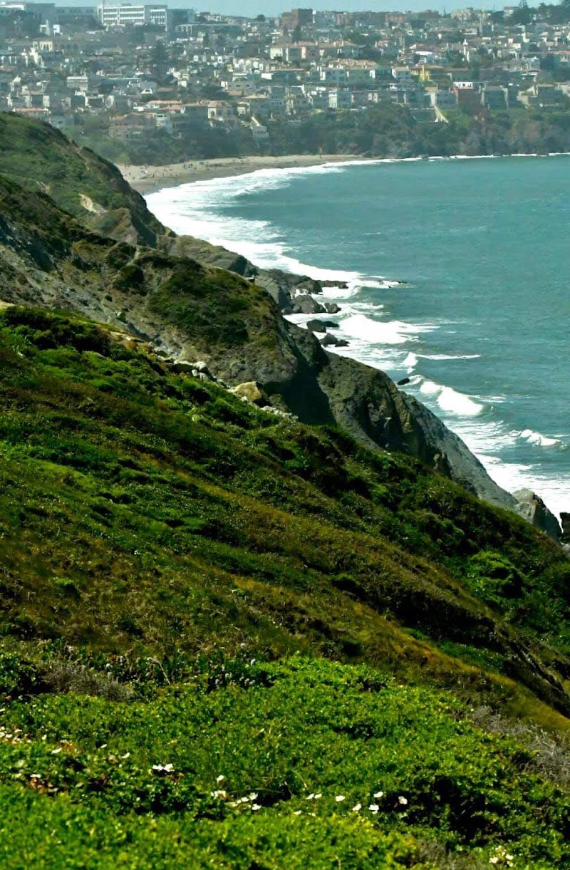 Sea Cliff / San Francisco