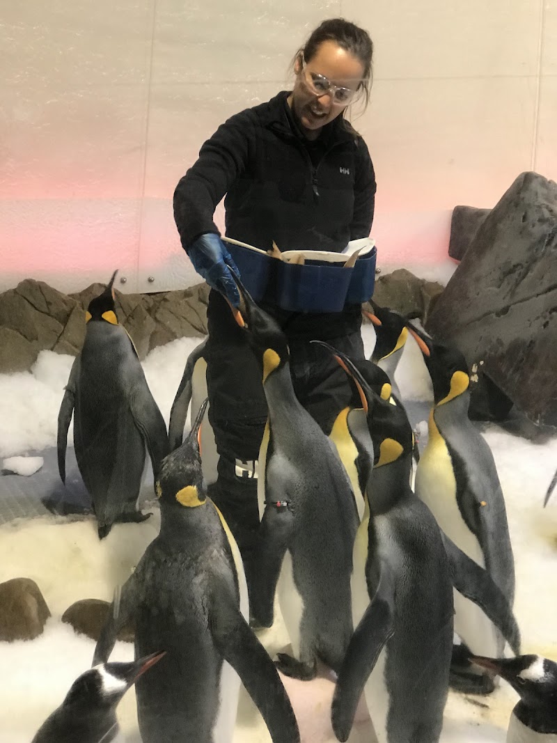 Sea Life Melbourne Aquarium