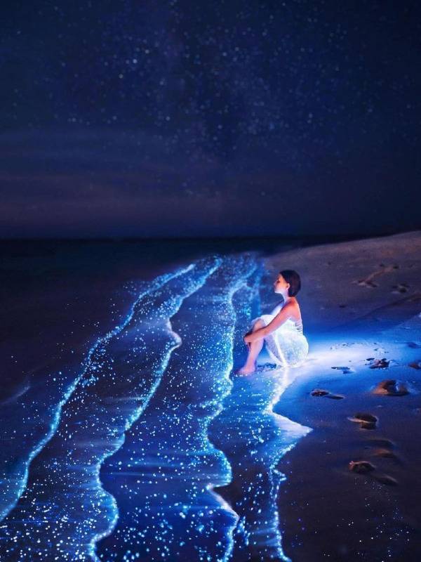 Sea Of Stars / Maldives Place mentioned in saved reels