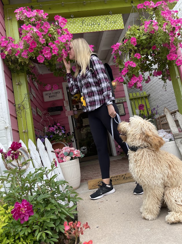 Service Dog Training / Denver