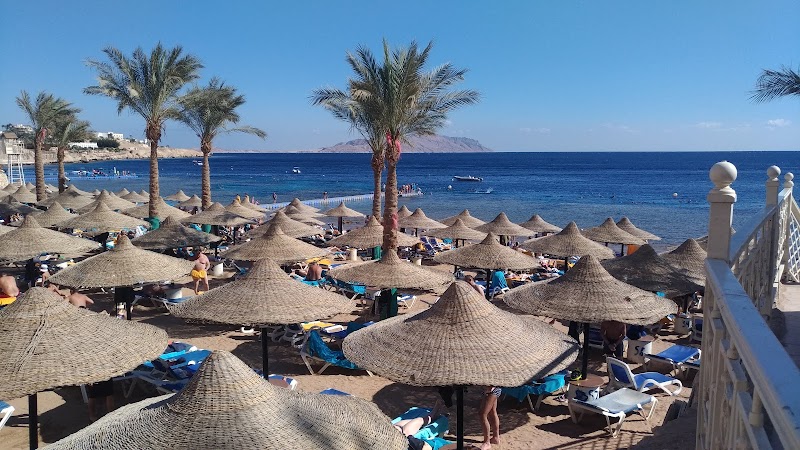 Shark's Bay / Egypt Place mentioned in saved reels