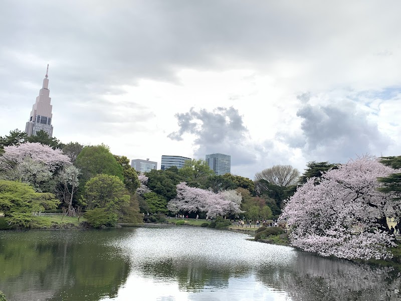 Shinjuku Gyoen National Garden / Tokyo Place mentioned in saved reels