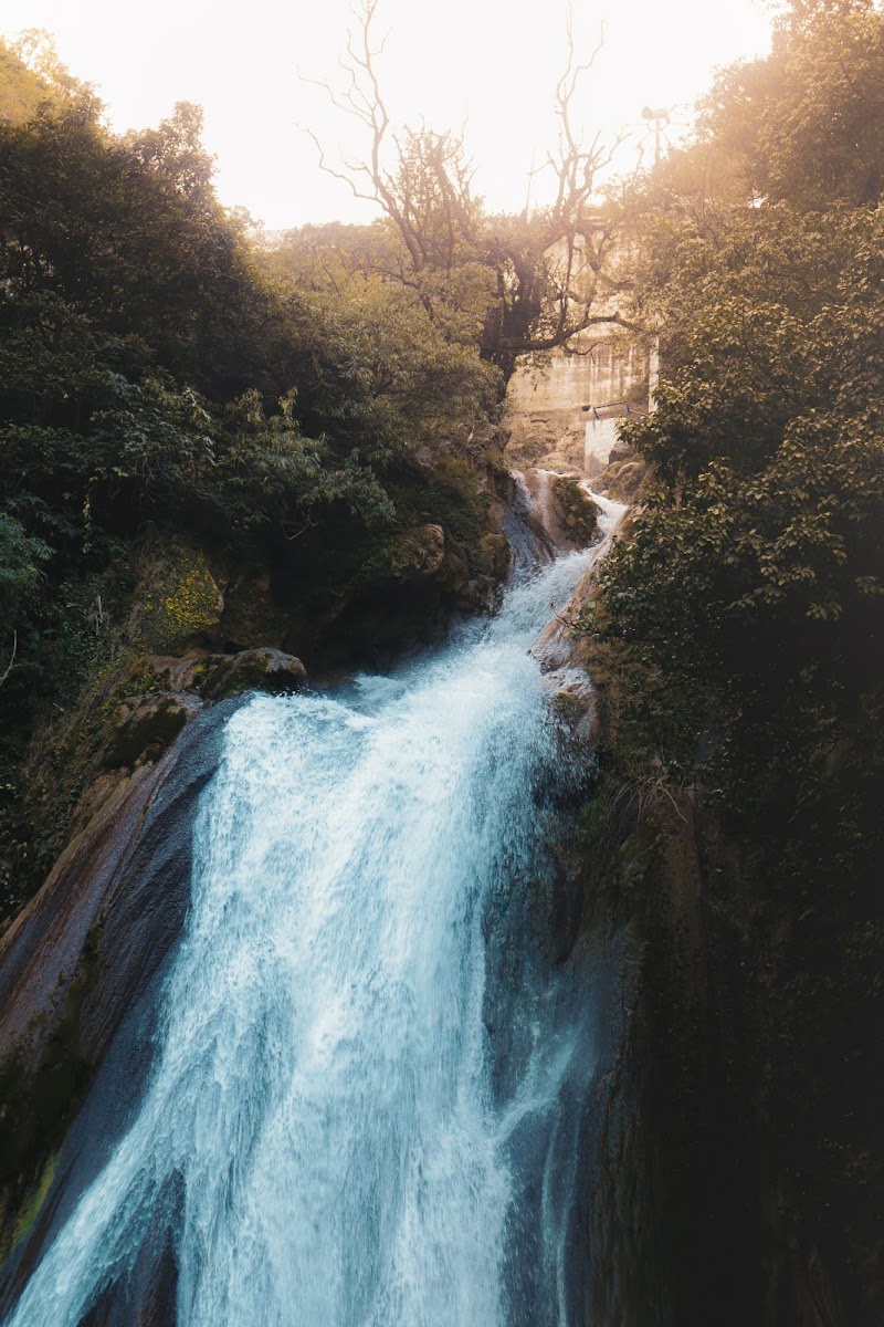Shivpuri / Rishikesh Place mentioned in saved reels