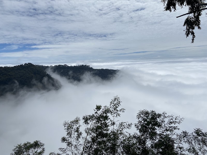 Silent Valley / Kodaikanal