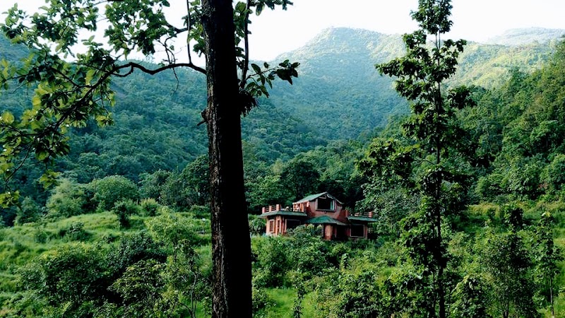Sitabani Forest Zone Place mentioned in saved reels