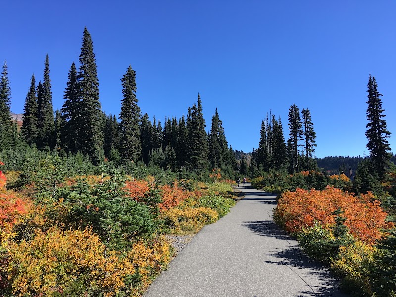 Skyline Loop / Washington