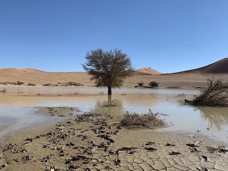Sossusvlei / Namibia Place mentioned in saved reels
