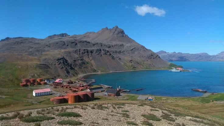 South Georgia / South Atlantic Ocean