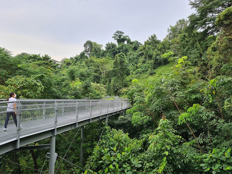 Southern Ridges trail / Singapore Place mentioned in saved reels