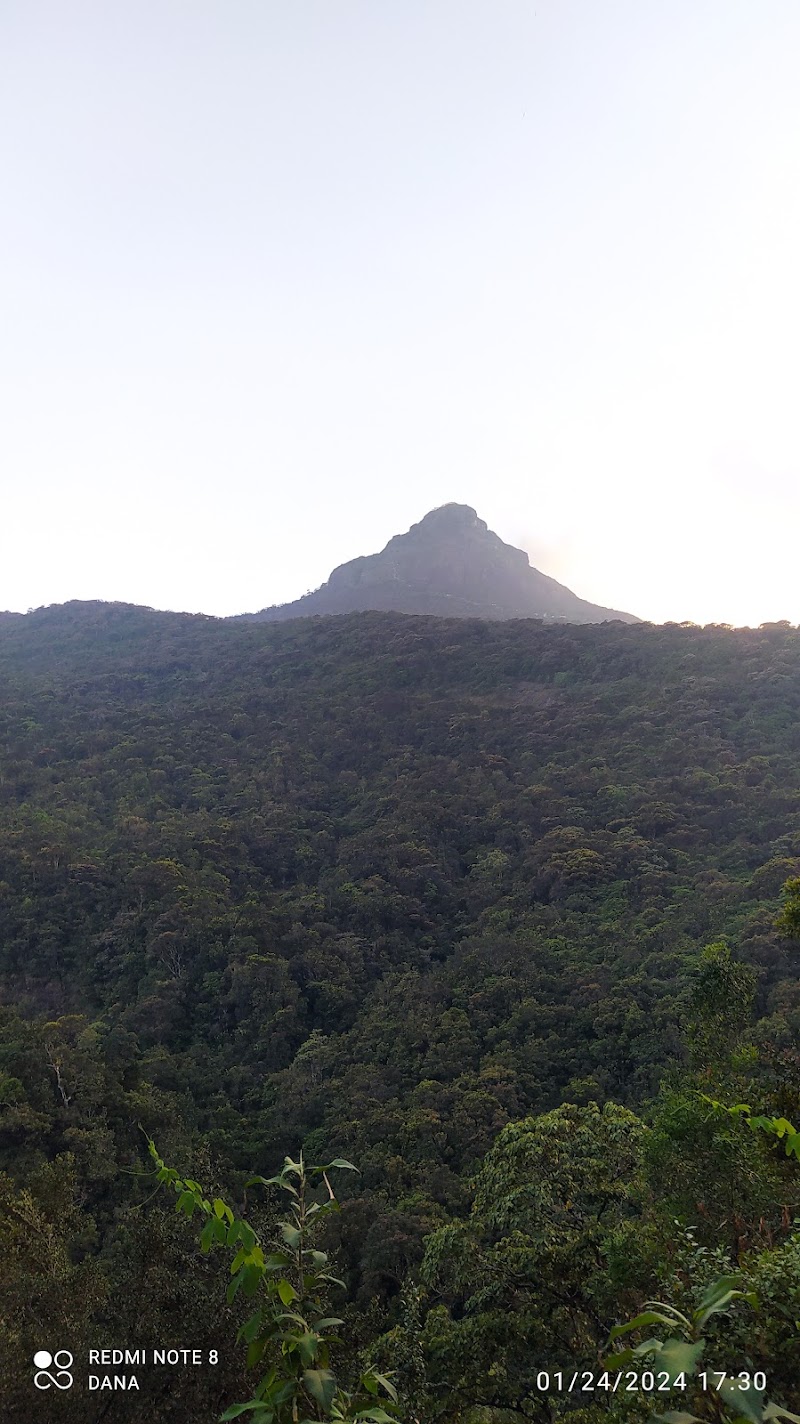 Sri Pada (Adam's Peak) Place mentioned in saved reels