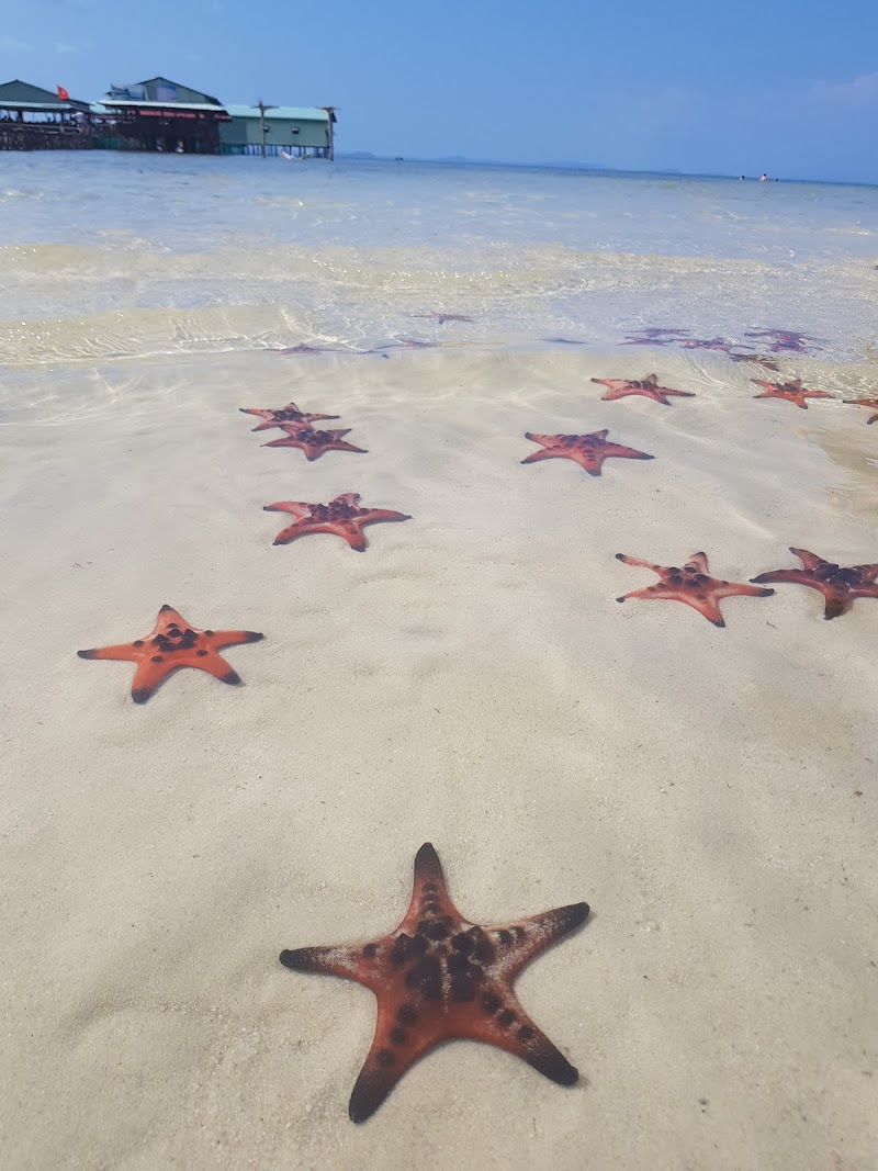 Starfish Beach / Phu Quoc Place mentioned in saved reels