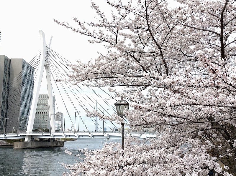 Sumida River Place mentioned in saved reels