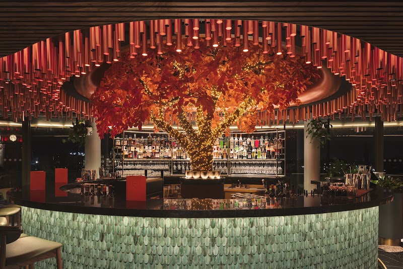 Sushi Samba / Edinburgh