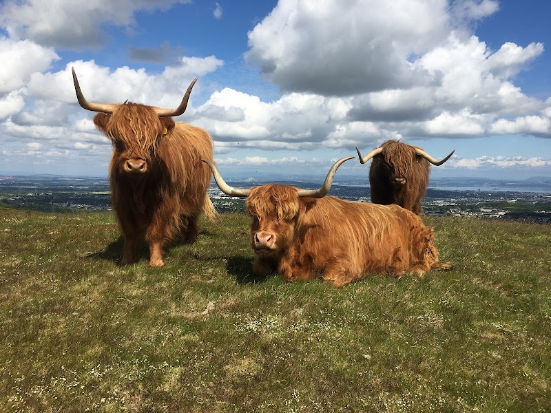 Swanston Farm / Edinburgh Place mentioned in saved reels