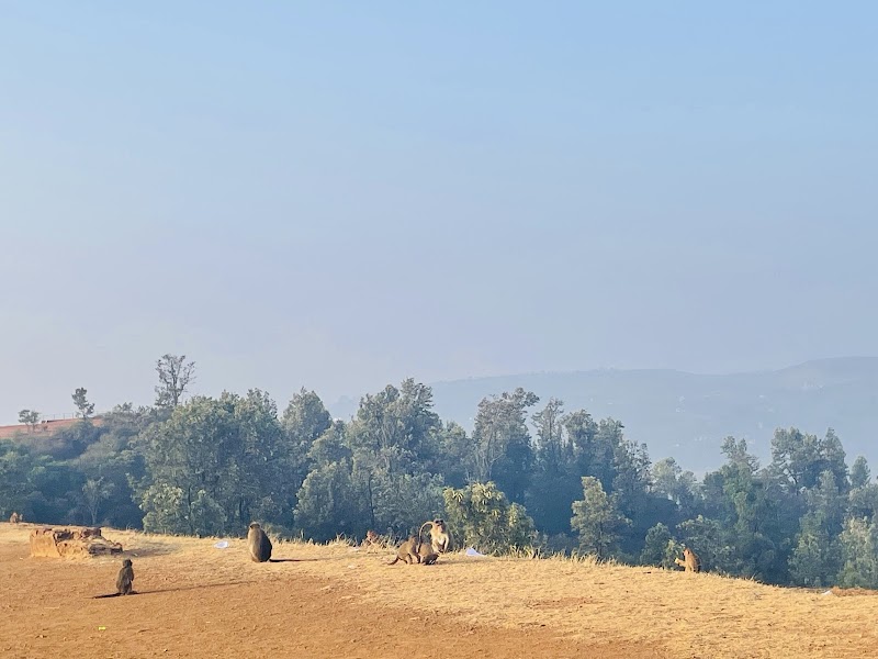 Table Land / Panchgani Place mentioned in saved reels