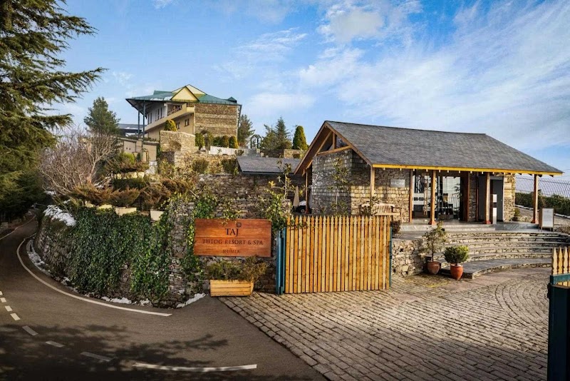 Taj Theog Resort & Spa / Shimla Place mentioned in saved reels