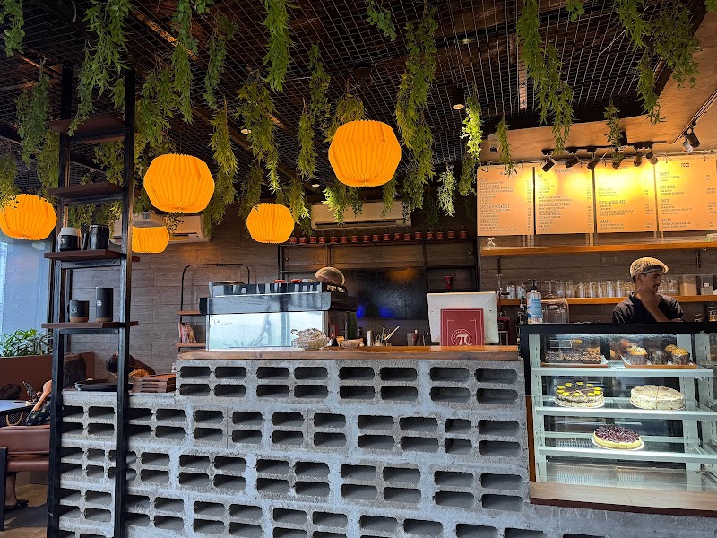 Tan Coffee / Sector 104