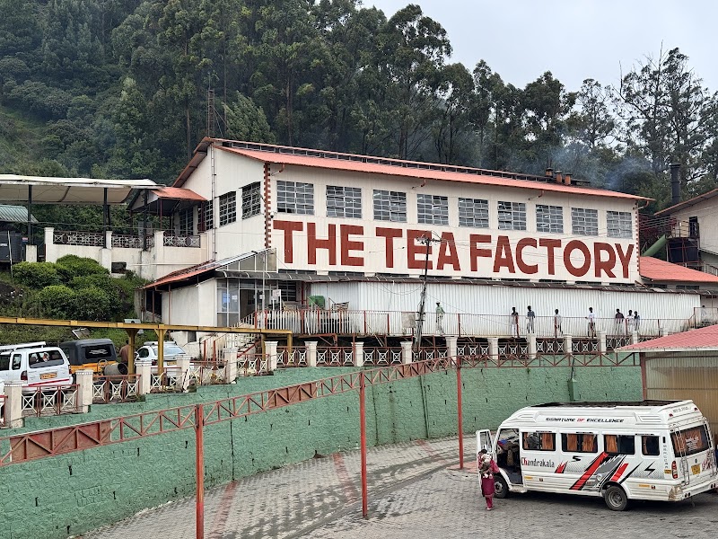 Tea factory & museum / Ooty Place mentioned in saved reels